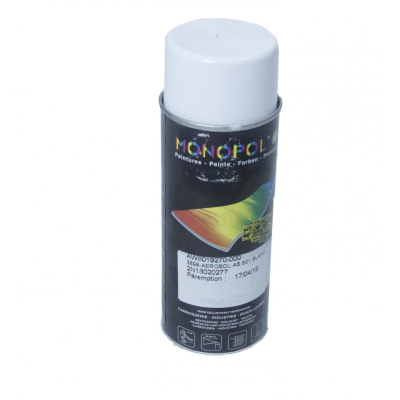 BOMBE DE PEINTURE RETOUCHE BLANC 250 END